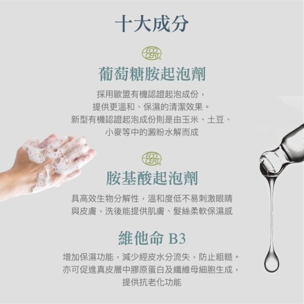 雪松淨化洗髮露