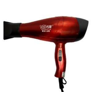 SW-306 沙龍一般吹風機