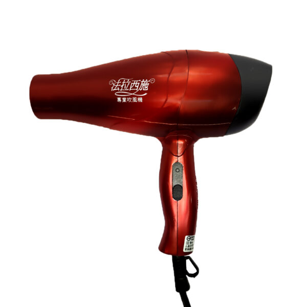 SW-306 沙龍一般吹風機