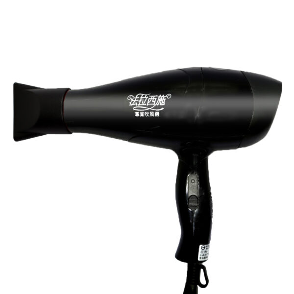 SW-306 沙龍一般吹風機