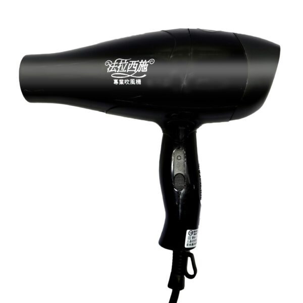 SW-306 沙龍一般吹風機